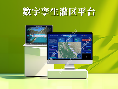 數字孿生灌區建設技術導則（試行）