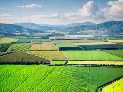 基于數(shù)字孿生灌區(qū)的模型