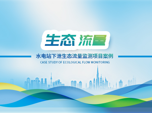 水電站生態(tài)流量泄洪監(jiān)測(cè)項(xiàng)目