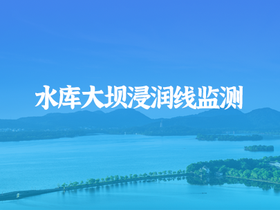 如何進行水庫大壩浸潤線監測？